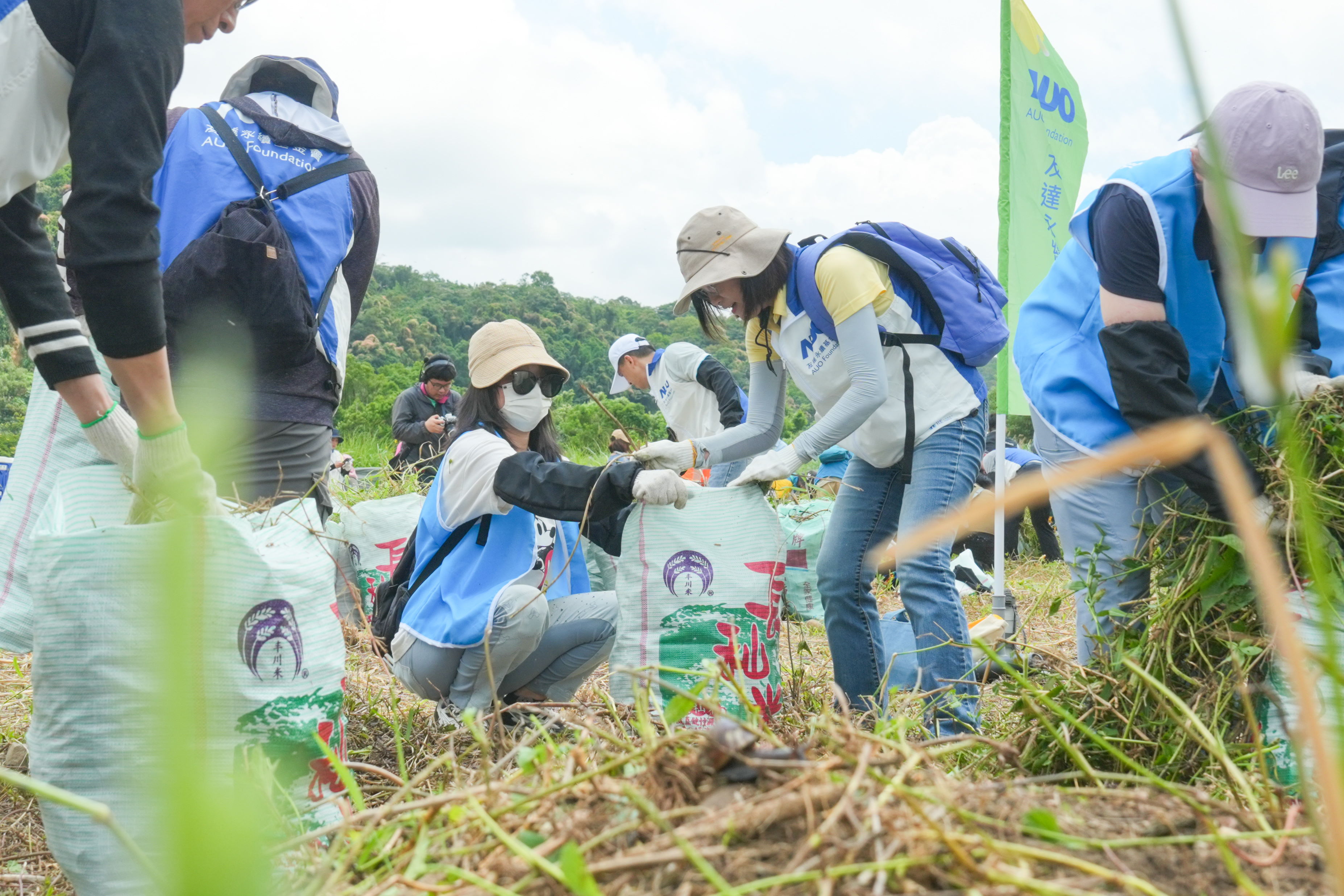 ks凯时·(中国区)官方网站除蔓防治計畫，除了鎖定霄裡溪沿岸3.2公里移除外來入侵種小花蔓澤蘭，並進行物種與空拍調查，共記錄91科181屬239種維管束植物，顯示該區域具高度生態價值